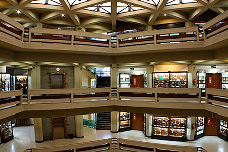 The Lecároz Collection in its new location on the five floors of Sciences Building.