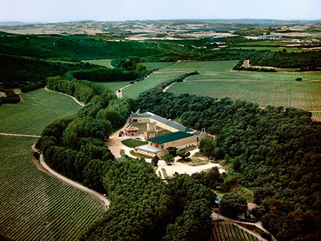 The wine landscape. Moneo and Arínzano
