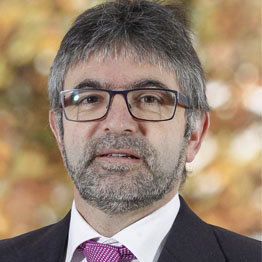 Prof. Juan Carlos Ramos