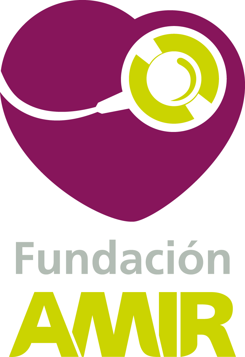amir Foundation