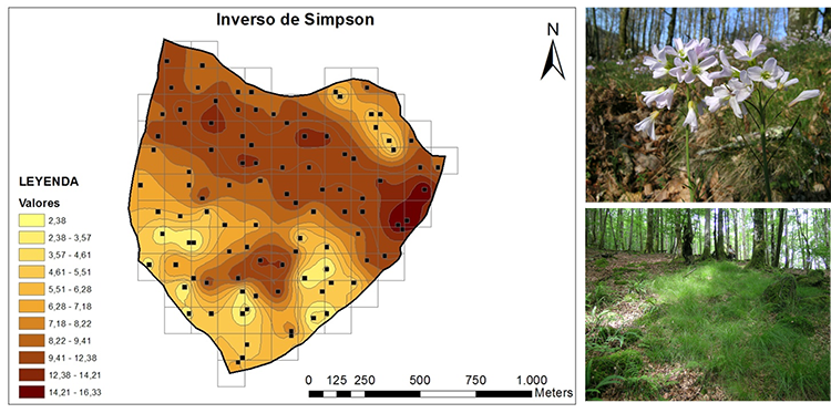 Biogeochemical analysis of a forest watershed