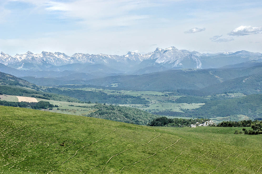 Impact of climate change in the Pyrenees