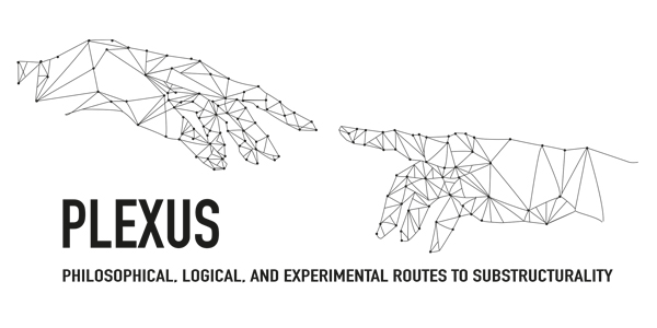 Logo project of research Plexus