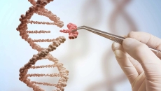 Gene editing: potential and ethical considerations