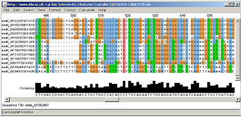 Tabla que identifica mediante colores el grado de semejanza de genes entre especies (códigos de filas)