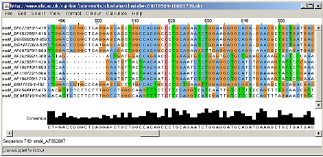 Table identifying by colour the Degree gene similarity between species (row codes)