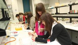 More than 1,000 students at Nava University Science Weeks
